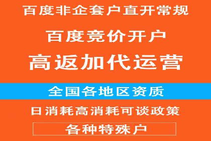 某行业头部企业信息流广告推广全解析